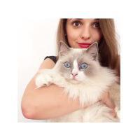 chloegsln